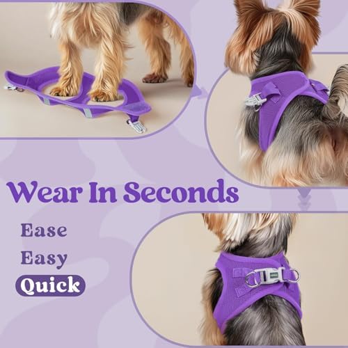 rabbitgoo Step-in Small Dog Harness, Puppy Vest - Image 5