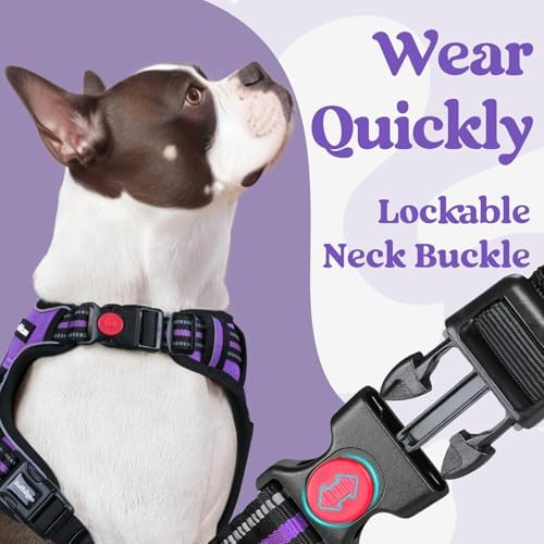 rabbitgoo Dog Harness Small Sized, Updated Easy On & Off - Image 3