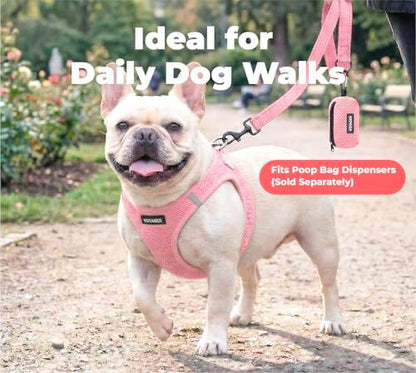 Best Pet Supplies Voyager Nylon Dog Leash - Image 3