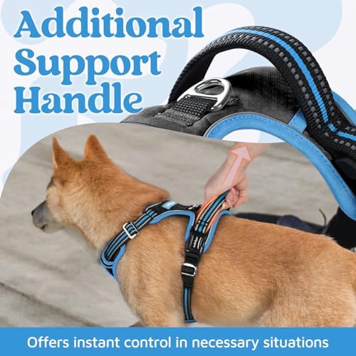 rabbitgoo Dog Harness Medium Sized, No Pull 3 Buckles Easy On & Off - Image 4