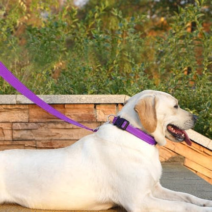 6 FT Basic Dog Leash for Large Dogs, Padded Handle - Image 2