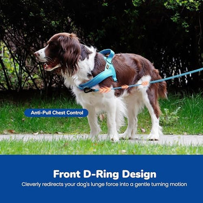 Didog No Pull Dog Harness for Small Dogs, Breathable Mesh Padded - Image 5