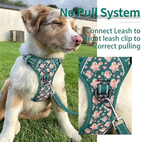 HEELE Dog Harness, Reflective, No Pull No Choke, Flower Grass Green - Image 5