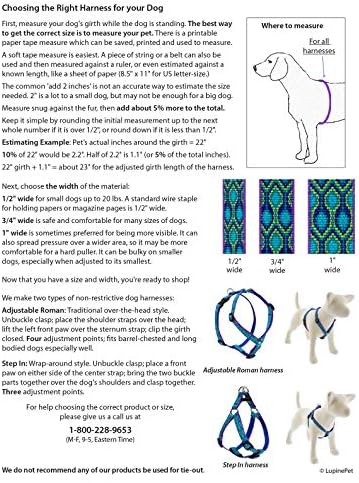 Small Adjustable Step in Dog Harness by Lupine 1/2" Wide Aqua - Image 3
