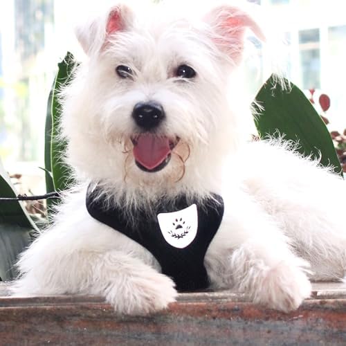 Hypeety Dog Vest Harness No-Pull Reflective Step-in Air Mesh Vest - Image 5
