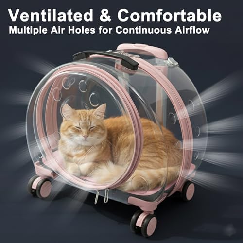 Transparent Hard Shell Cat Carrier - Image 5