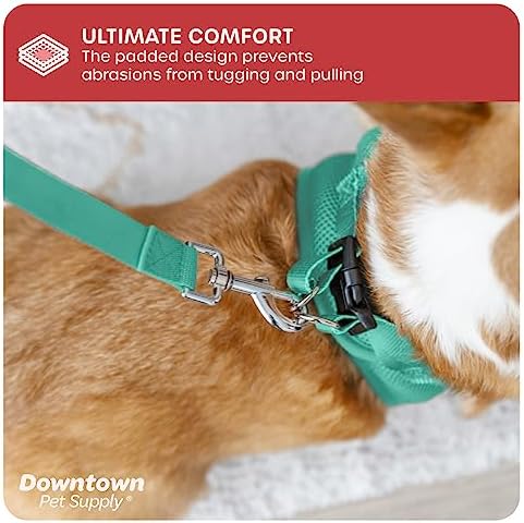 Downtown Pet Supply Step in Dog Harness - Image 6