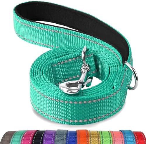 Joytale Reflective Dog Leash for Medium & Large Dogs, 5 FT x 1" by Joytale