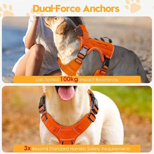 Heavy-Duty Tactical Dog Harness - Image 4