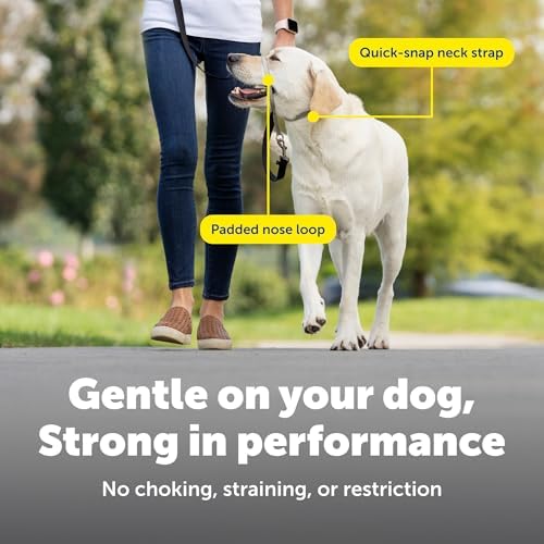 PetSafe Gentle Leader No Pull Dog Headcollar - Image 4