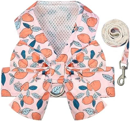 BAEJMJK Dog Harness and Leash Set by BAEJMJK