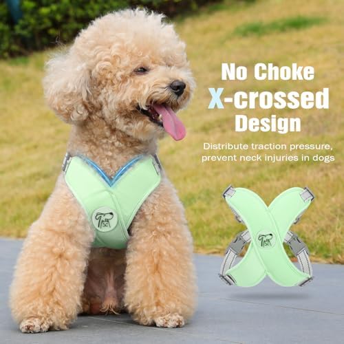 Pawaboo Small Dog Harness and Leash Set, Puppy Harness X-Frame Adjustable - Image 3