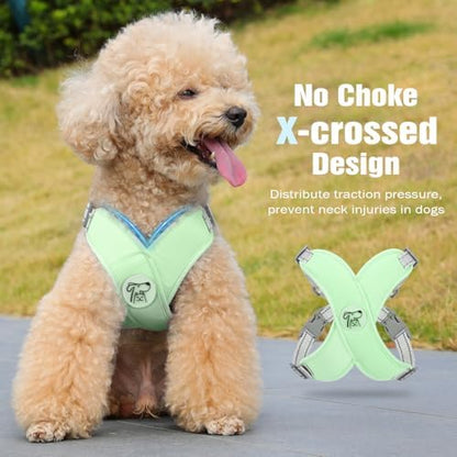 Pawaboo Small Dog Harness and Leash Set, Puppy Harness X-Frame Adjustable - Image 3