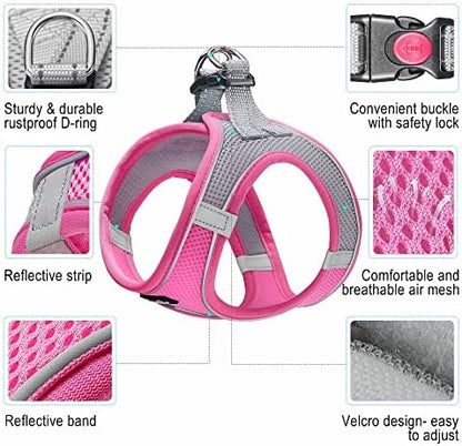 haapaw Dog Harness with Leash Set, No Pull Adjustable Reflective Step-in Puppy - Image 2