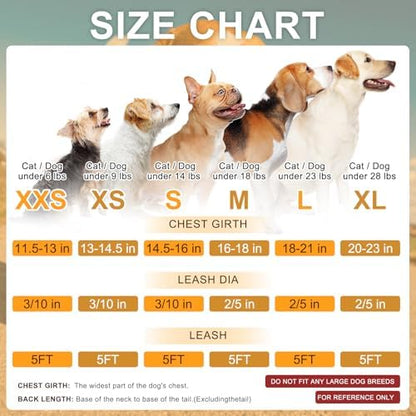 BEAUTYZOO Dog Harness Medium Sized and Leash Set, No Pull Pet Vest - Image 2