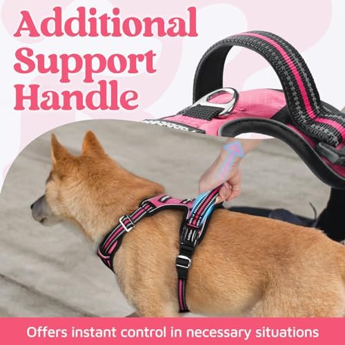 rabbitgoo Dog Harness for Large, No Pull 3 Buckles Easy On & Off - Image 4