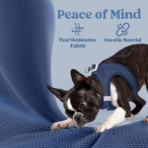 rabbitgoo Step-in Small Dog Harness, Puppy Vest - Image 5