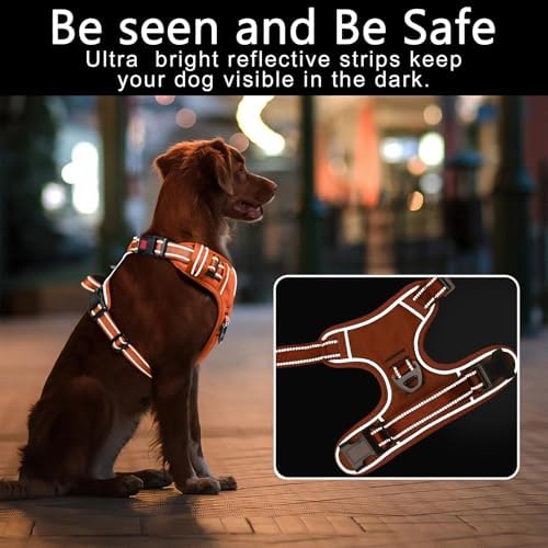 Timos Dog Harness, Front Clip No Pull Medium Sized - Image 3