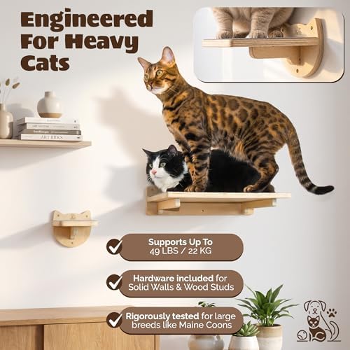 Snuggle & Play Cat Wall Shelves & Climbing System – Modern Furniture Set - Image 3