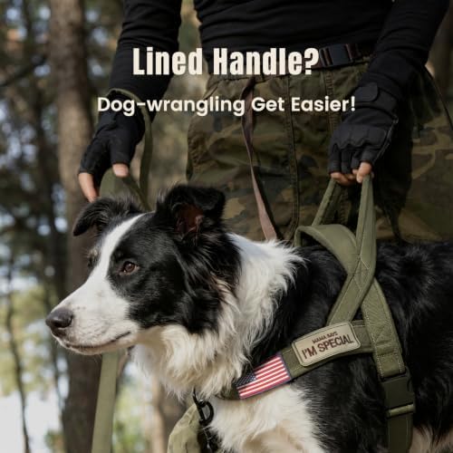 Forestpaw No Pull Dog Harness - Image 2