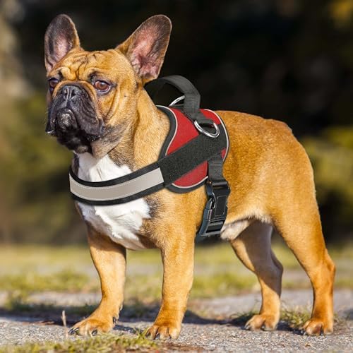Haapaw Essential Dog Harness, No Pull Pet Vest - Image 3