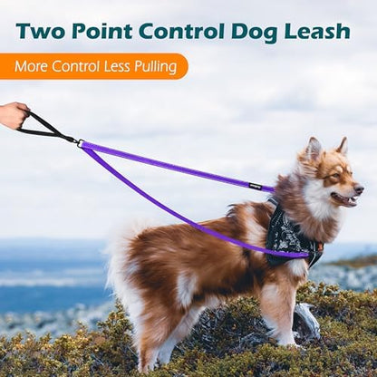 PetBonus Two Point Control Dog Leash, No Tangle Training Walking Leashes - Image 2
