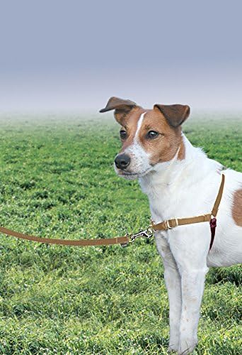 PetSafe Easy Walk No-Pull Dog Harness - Image 3