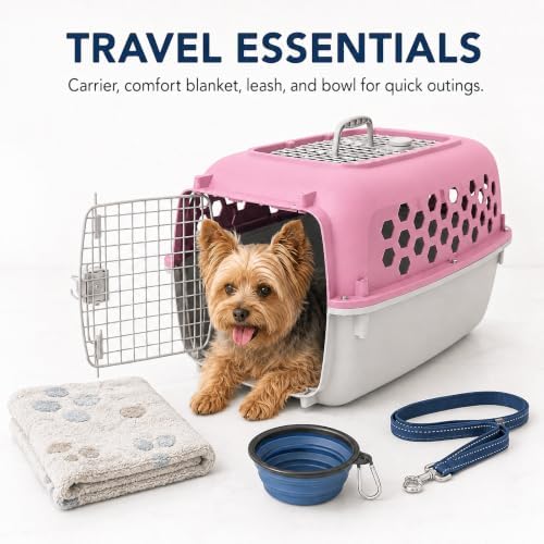 Two-Door Pet Carrier - Image 3
