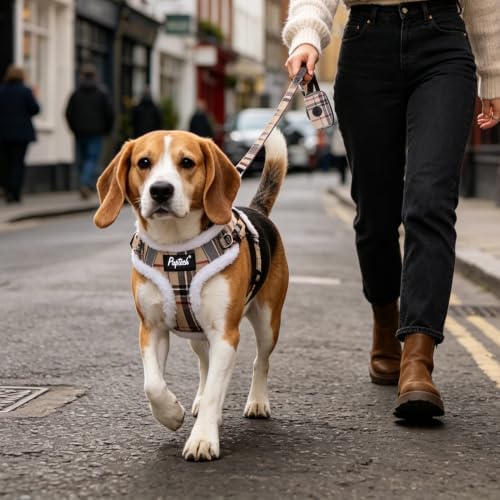 PUPTECK Dog Harness and Leash Set Small Sized, Step in No Pull Adjustable Puppy - Image 6
