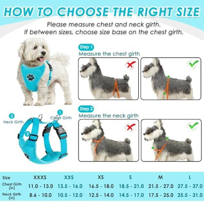 SlowTon Dog Seat Belt and Harness - Image 5