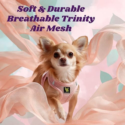 EcoBark Small Dog Harness, Luxury Soft Step in Mesh Vest, Baby Pink - Image 3