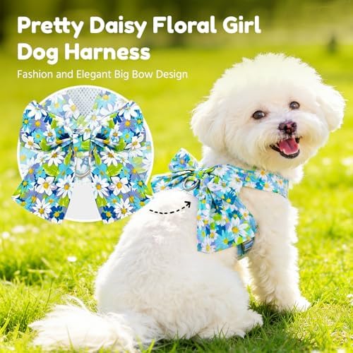 BAEJMJK Dog Harness and Leash Set - Image 2