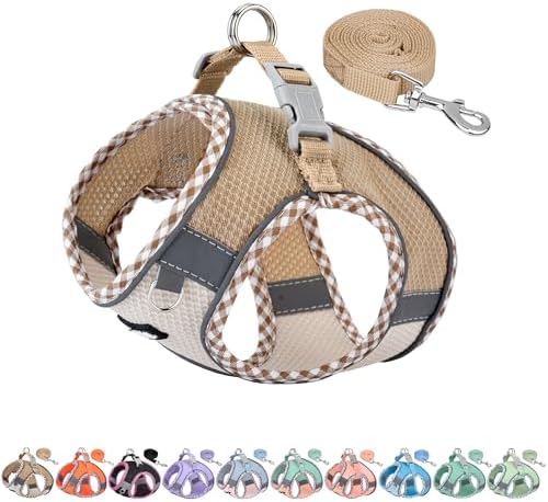 AIITLE Teacup Puppy Harness and Leash Set Escape-Proof by AIITLE-FORPETSBETTERLIFE
