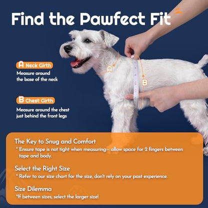 Eagloo Small Dog Harness and Leash Set, Step in Small Sized Puppy Pet Vest - Image 2