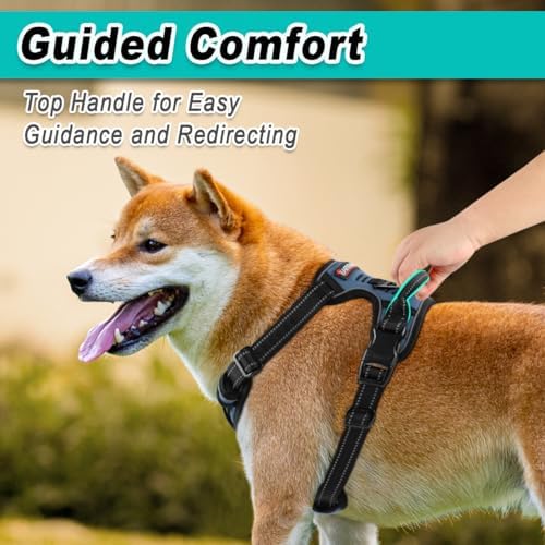 BARKBAY Dog Harness for Small Sized Dog No Pull 2 Leash Clips Dog Vest - Image 4