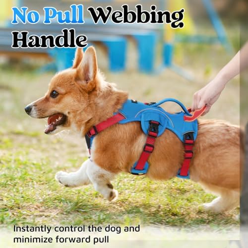 rabbitgoo Escape Proof Dog Harness - Image 4