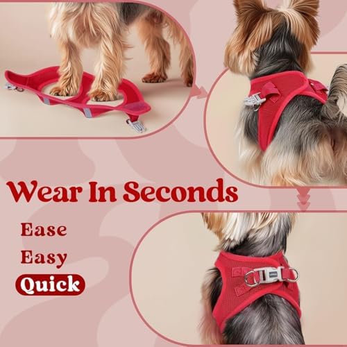 rabbitgoo Step-in Small Dog Harness, Puppy Vest - Image 5
