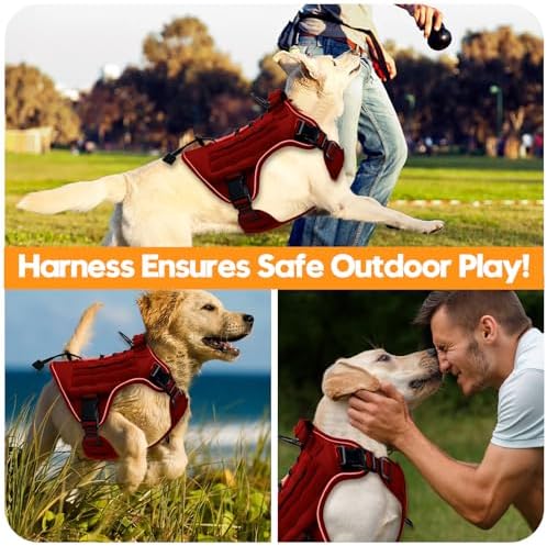 Heavy-Duty Tactical Dog Harness - Image 6