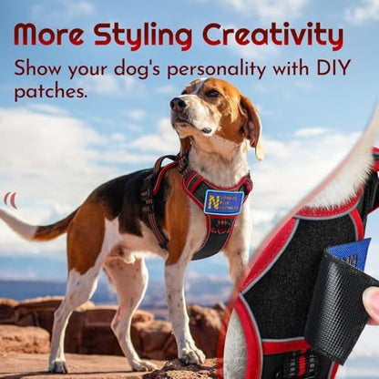 Eagloo Dog Harness No Pull for Large Dogs, Easy On & Off - Image 3