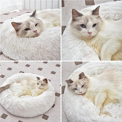 Cat Beds for Indoor Cats - Image 5