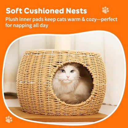 55.5-Inch Modern Cat Tree for Large Cats - Image 5