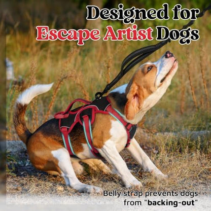 rabbitgoo Escape Proof Dog Harness - Image 2