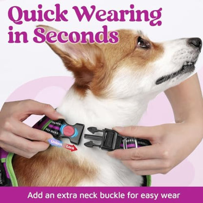 rabbitgoo Dog Harness Medium Sized, No Pull 3 Buckles Easy On & Off - Image 2