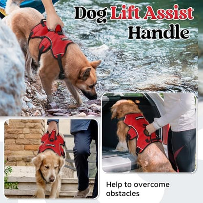 rabbitgoo Escape Proof Dog Harness - Image 3