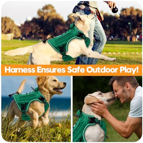 Heavy-Duty Tactical Dog Harness - Image 6