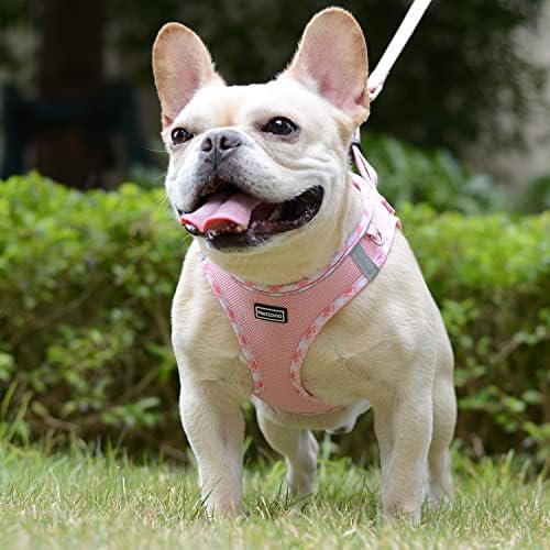 Mercano Soft Mesh Dog Harness and Leash Set, Step-in Reflective Breathable - Image 4