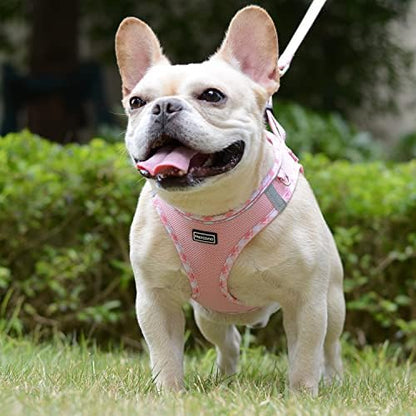 Mercano Soft Mesh Dog Harness and Leash Set, Step-in Reflective Breathable - Image 4