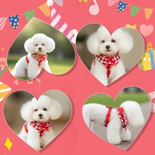 EXPAWLORER Step-in Dog Harness Small Sized Collar and Leash Set - Image 7