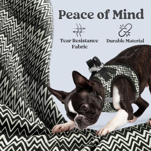 rabbitgoo Step-in Small Dog Harness, Puppy Vest - Image 7