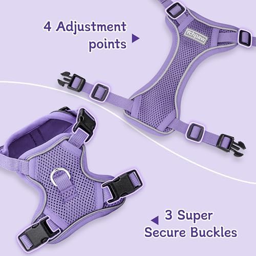 Small Dog Harness and Leash Set, Adjustable Small Sized Pet Vest - Image 3